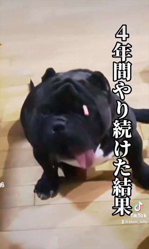 4年間やり続けた結果テロップ
