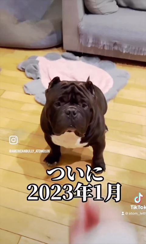 ついに2023年1月