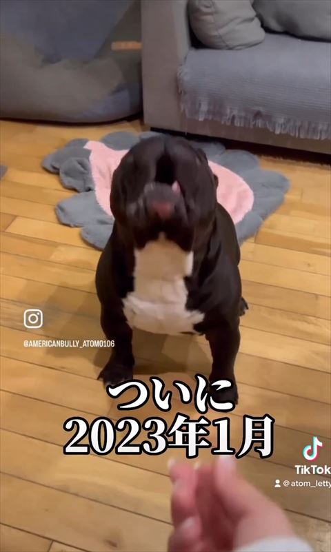 口をあける