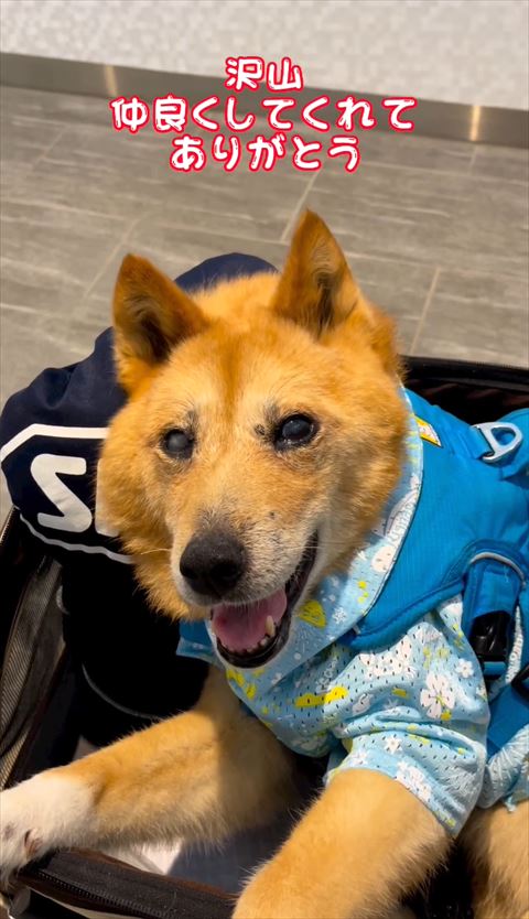 たくさん仲良くしていくれてありがとうテロップ