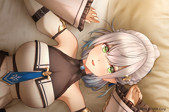 『白銀ノエル＆宝鐘マリン 1st PHOTO BOOK ふたりデート』　ホロライブ　hololive　photobook