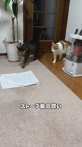 「ストーブ前の闘い」