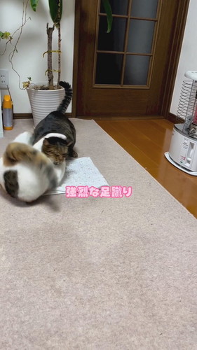 「ストーブ前の闘い」