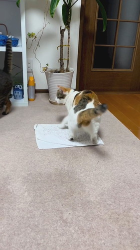 「ストーブ前の闘い」