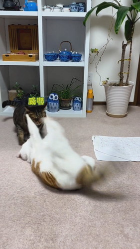 「ストーブ前の闘い」