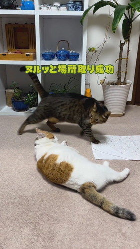 「ストーブ前の闘い」