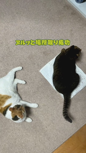 「ストーブ前の闘い」