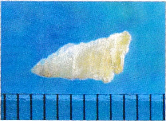 マクドナルド「マックフライポテト」に人の爪とみられるものが混入