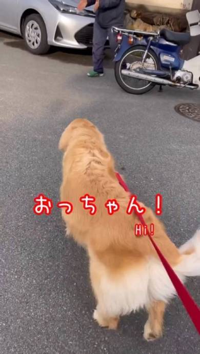 前回ゆず