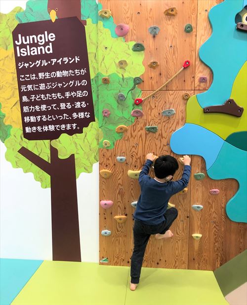 ボーネルンドキドキド