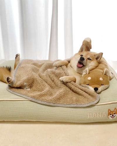 お昼寝はなちゃん