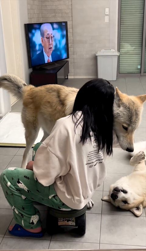 ワンコに頭のせる娘さん