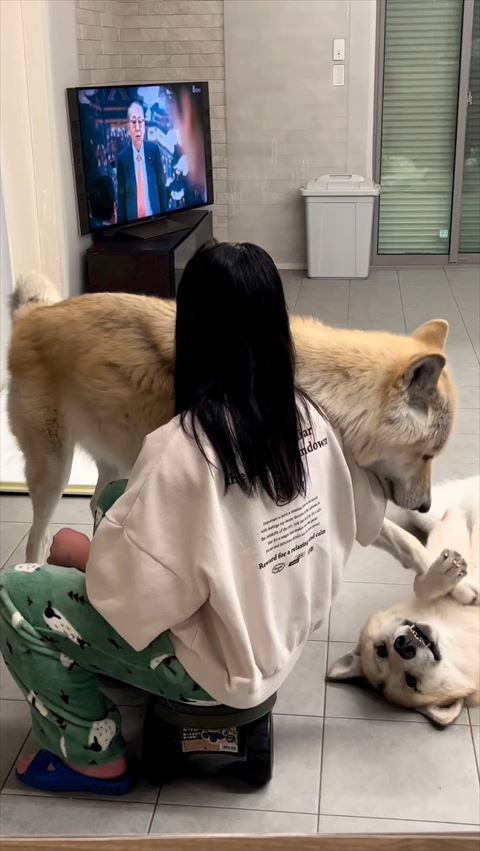 ワンコに前足のせるワンコ