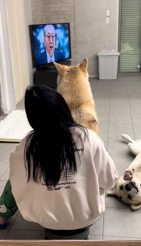 娘さんの上に座るワンコ