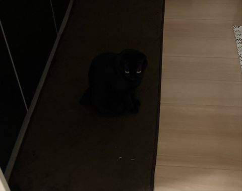 黒マットトリミング