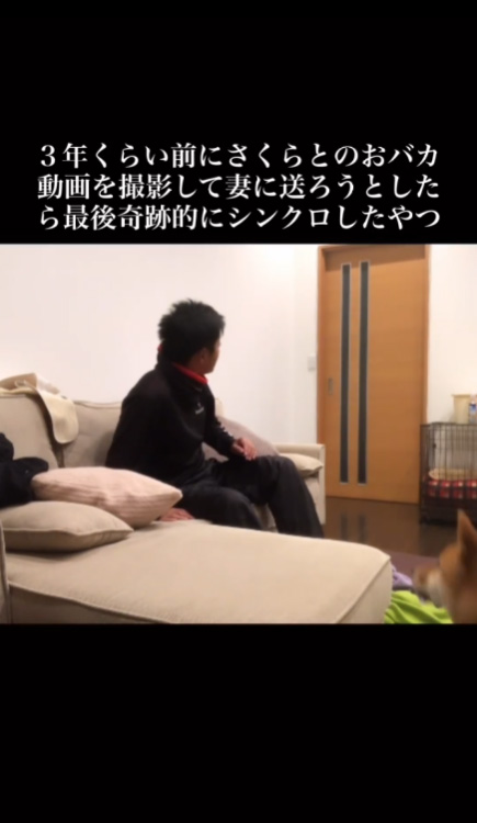 振り返る投稿主さん