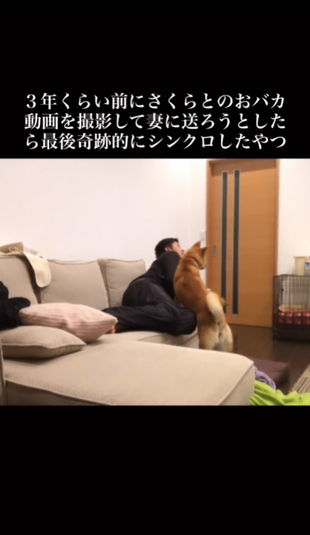 向こうを見るふたり