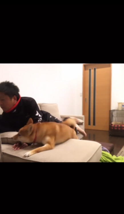 こちらに来たふたり