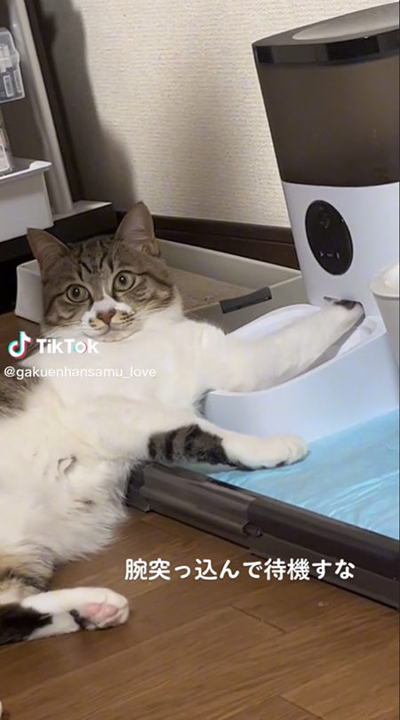 目そらし虎徹くんアップ