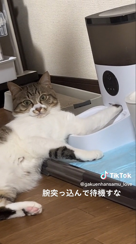 視線戻し虎徹くんアップ