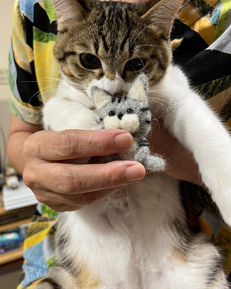 ちび虎徹くんと