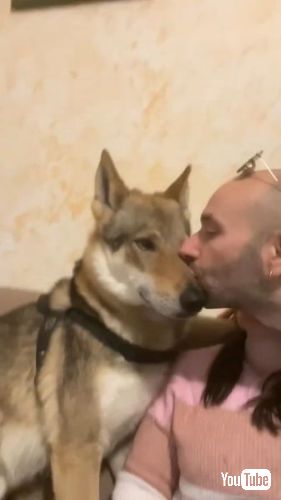All The Kisses