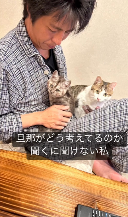 夫と猫2匹