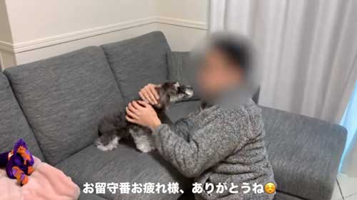 ほめてもらう犬