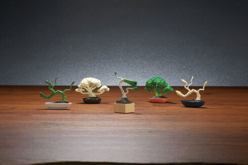 盆菜〜BONSAI〜01