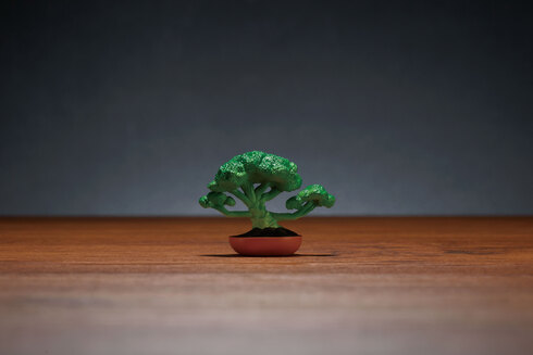 盆菜〜BONSAI〜05