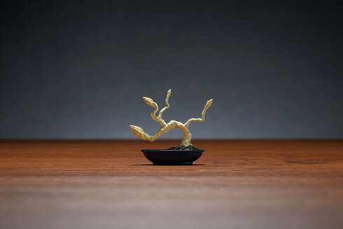 盆菜〜BONSAI〜06