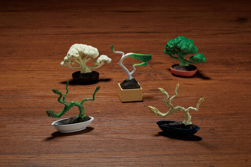 盆菜〜BONSAI〜08