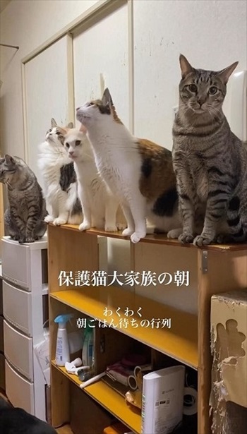 朝ごはん待ちの行列