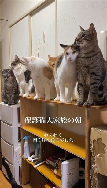 隣の子にスリスリ