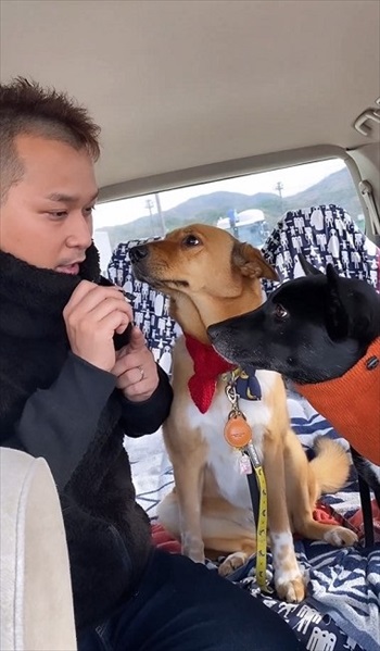 妹犬をかばう姉犬