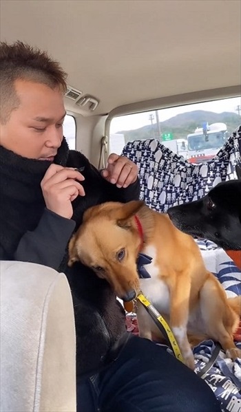 妹犬をかばう姉犬