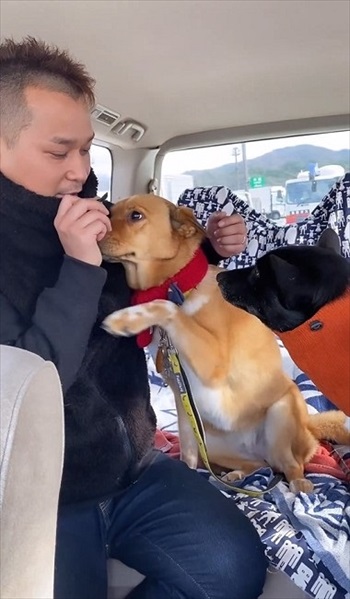 妹犬をかばう姉犬