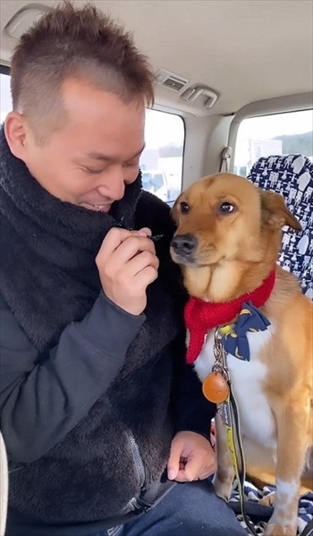 妹犬をかばう姉犬