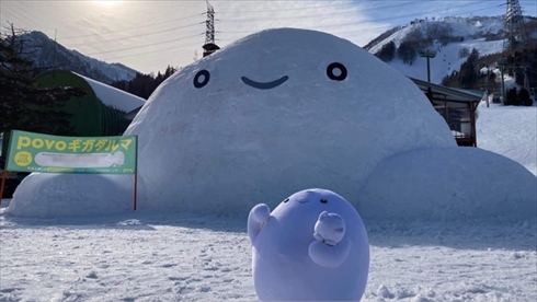 povo ギガだるま