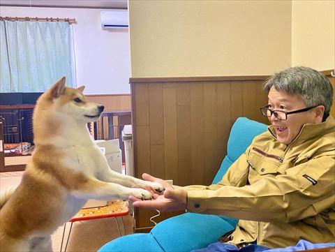 ダブルお手するワンコ