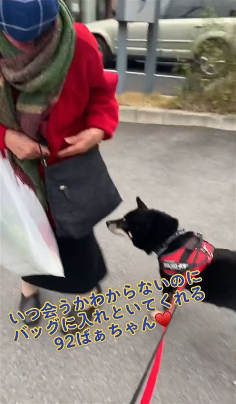 かばんの匂いかぐワンコ