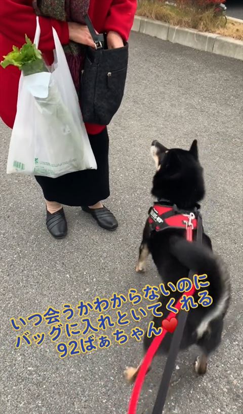 カバンに手を入れるおばあちゃん