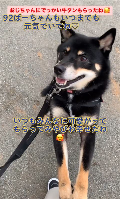 足に前足のせるワンコ
