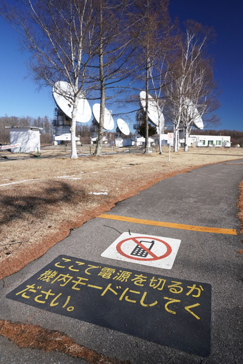 インターネットやめろ