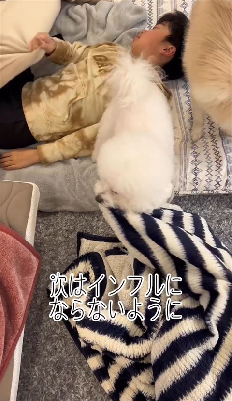 布団くわえるワンコの後ろのにお兄ちゃん