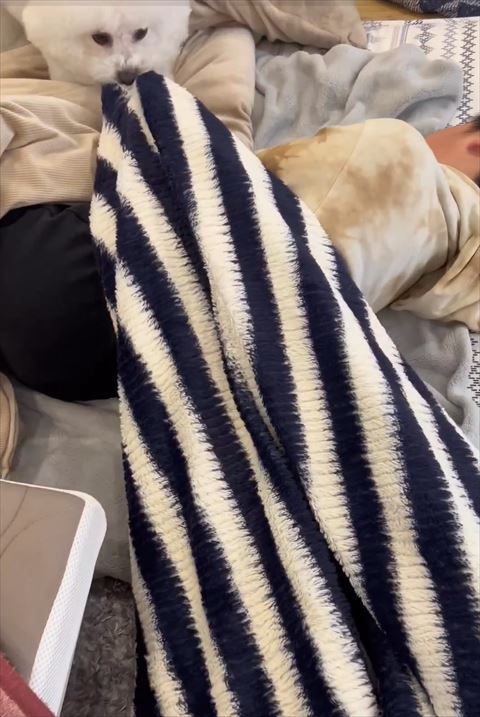お兄ちゃんに布団かけるワンコ