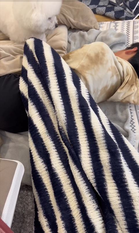 寝てるお兄ちゃんを見るワンコ