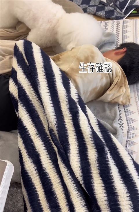 生存確認テロップ