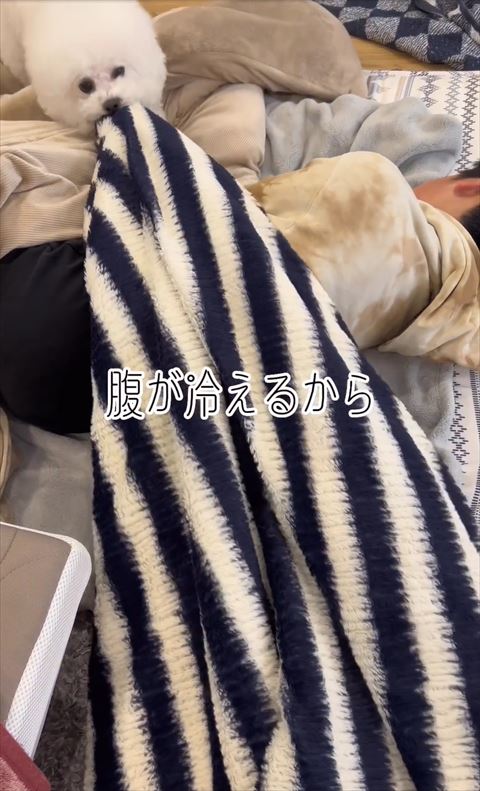 腹が冷えるからテロップ