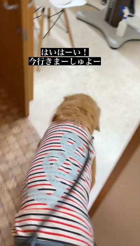 今行きますテロップ